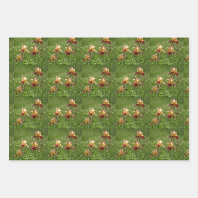 Papier d'enveloppement Iris (Devant)