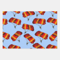 Papier d'enveloppement pour parachutisme