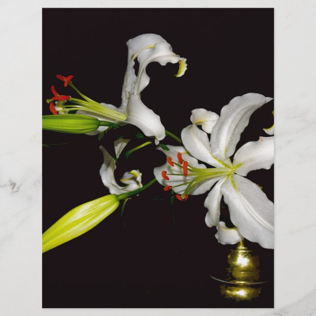 Papier Design irlandais - Collection de laiton et de fleu (Devant)