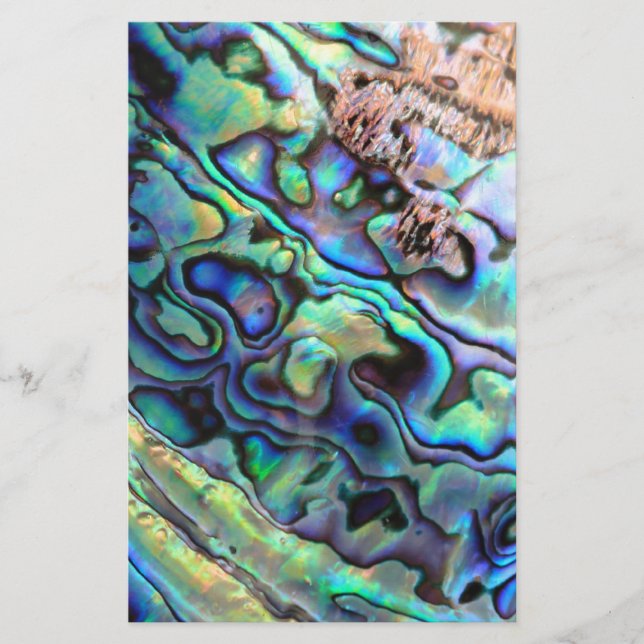 Papier Détail de la coquille de Paua (Devant)