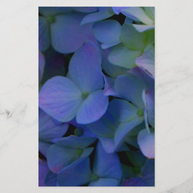Papier Élégant bleu pourpre bleu pourpre floral (Devant)