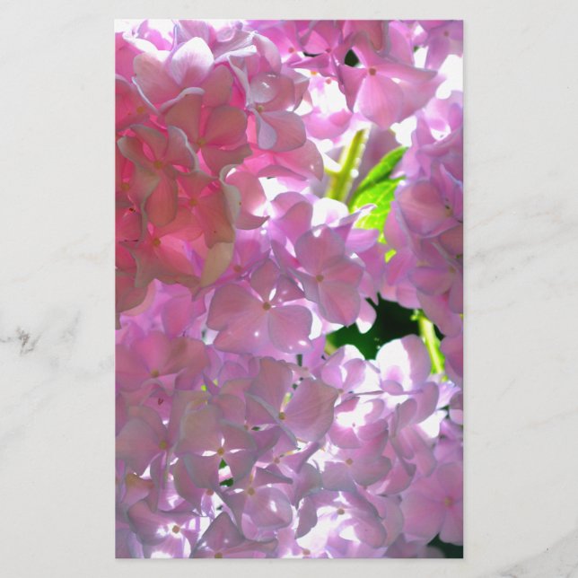 Papier Elégant flores rose douce hydrangée rose rose (Devant)