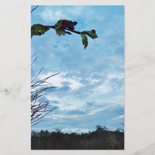 Papier Élégant Noël Holly, ciel bleu (Devant)