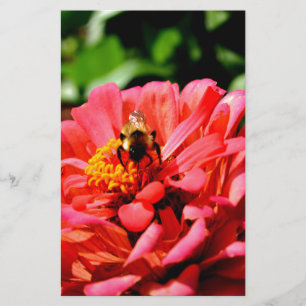 Papier Elégante corail rouge floral mignonne bourdon bee