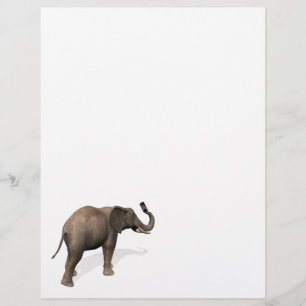 Papier Elephant Prendre Un Selfie
