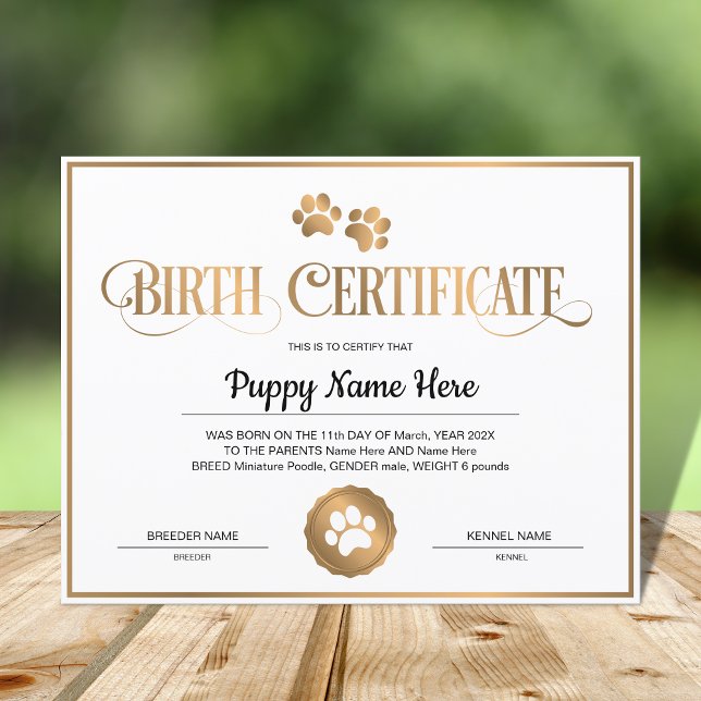 Papier Empreinte de patte du certificat de naissance de c (Créateur téléchargé)
