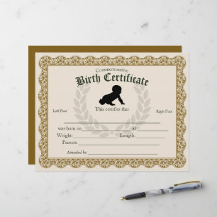 Papier Empreinte de remplissage de saké Certificat de nai
