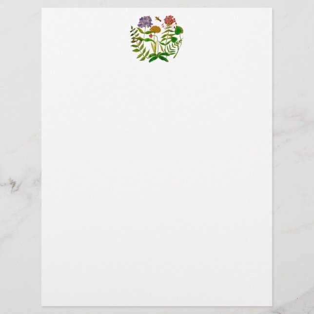 Papier En-tête avec dessin d'illustration botanique (Devant)