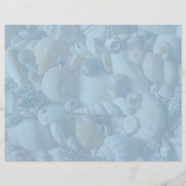 Papier en-tête de coquillage bleu clair Clearwater (Devant)