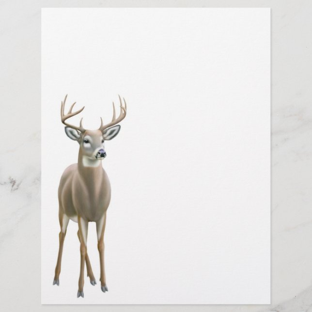 Papier En-tête de lettre de cerf blanc (Devant)