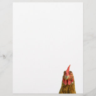 Papier En-tête de lettre de portrait de poulet