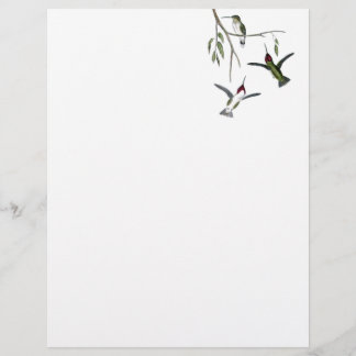 Papier En-tête de lettre Recyclé de colibri
