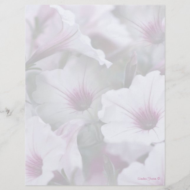 Papier En-Tête Pétunias Blanc Et Rose Doux (Devant)
