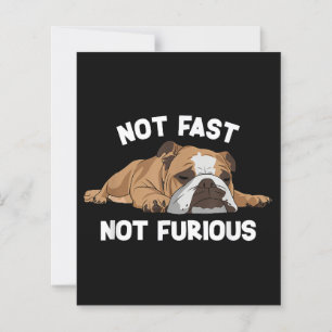 Papier English Bulldog Sleeping Not Fast Not Furious Funn