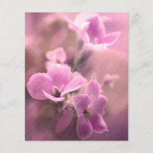 Papier Ephémère de scrapbook rose
