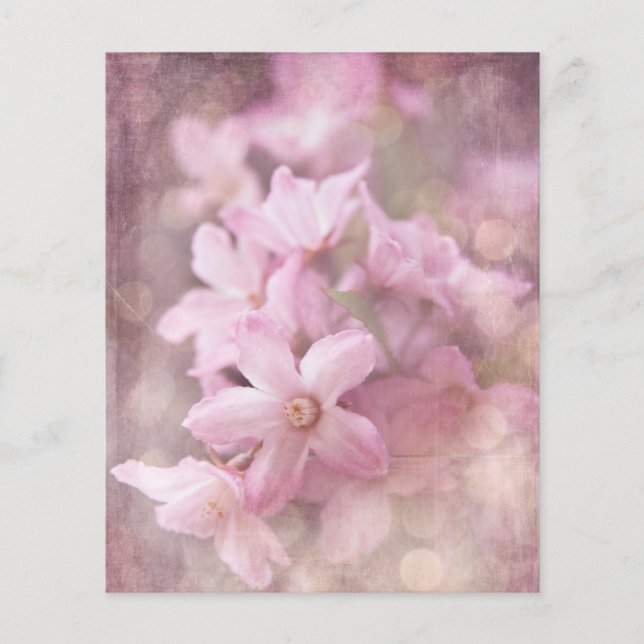 Papier Ephémère du livre de scrapbook rose Fleurs de Shab (Devant)