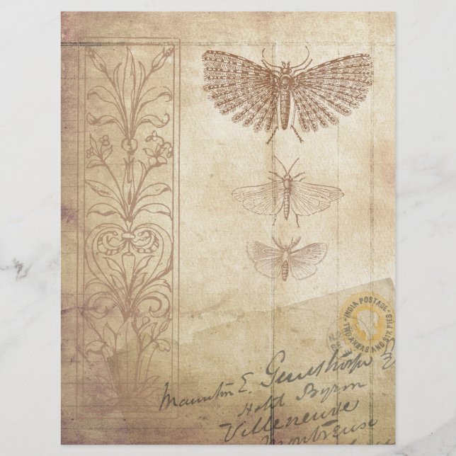 Papier Ephémère du scrapbook de style vintage (Devant)