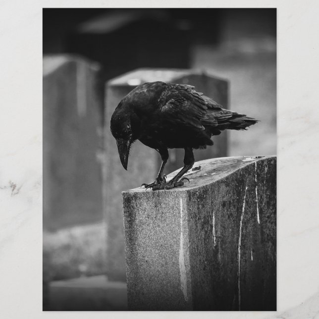 Papier Falln Cemetery Crow (Devant)
