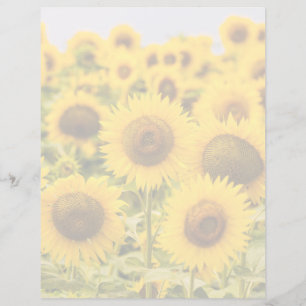Papier Farms   A Sunflower