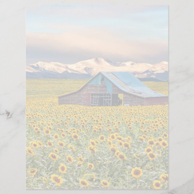 Papier Farms | Field (Devant)