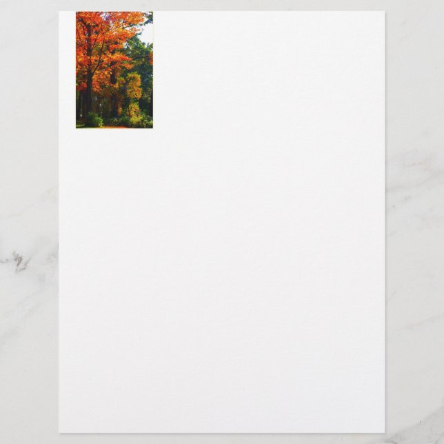 Papier Feuillage d'automne (Devant)