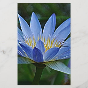 Papier Fleur de lotus et signification
