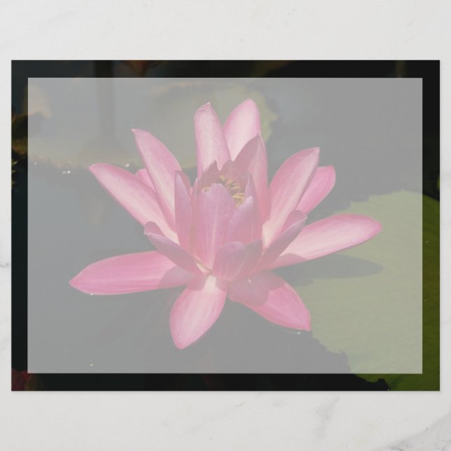 Papier Fleur de lotus rose (Devant)