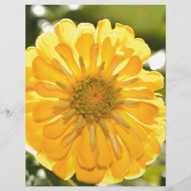 Papier Fleur jaune boho (Devant)