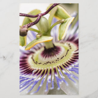 Papier Fleur Passion