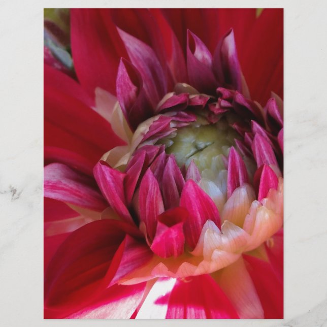 Papier fleur rouge foncé (Devant)