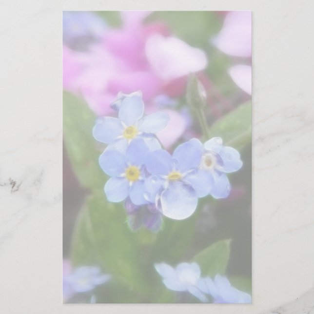 Papier Fleurs De Printemps - Oubliez-Moi Les Nots Et Les  (Devant)