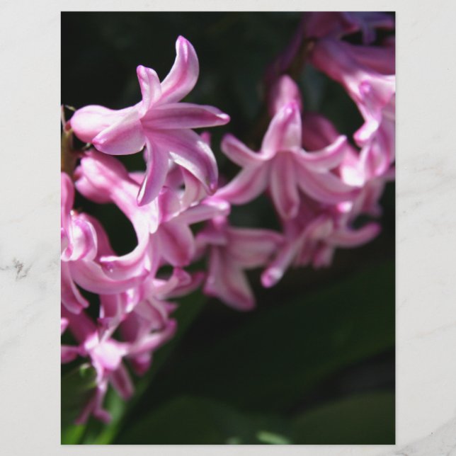 Papier Fleurs de printemps rose-blanc (Devant)