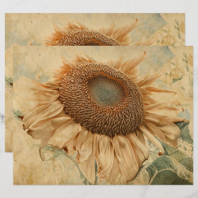 Papier Fleurs de soleil géantes Jaune Vieux Découpage Vin (Devant / Derrière)