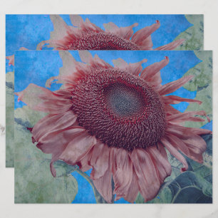 Papier Fleurs de soleil géantes Pays rose bleu découpage