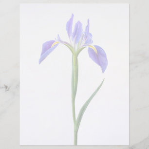 Papier Fleurs Fleur Iris Violet