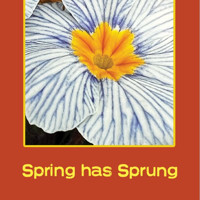 Papier Fleurs florales printanières (Créateur téléchargé)