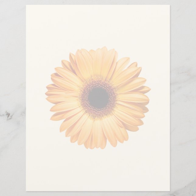 Papier Fleurs | Orange Gerbera (Devant)