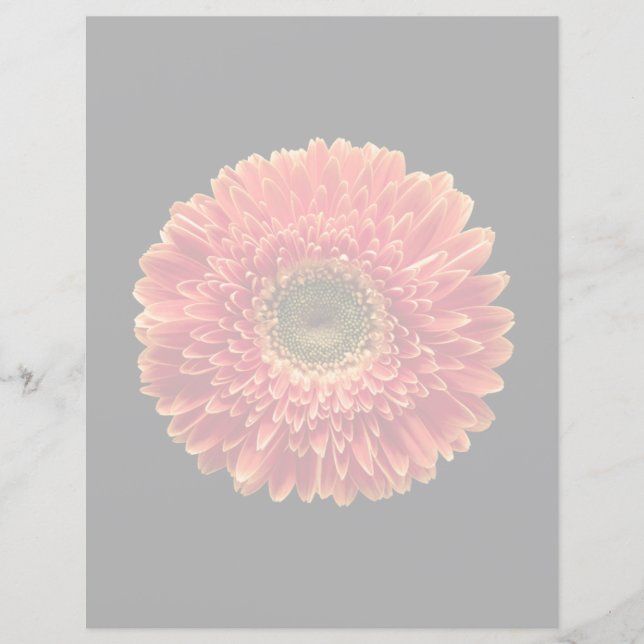 Papier Fleurs | Orange Gerbera Daisy (Devant)