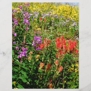 Papier Fleurs sauvages des Rocheuses