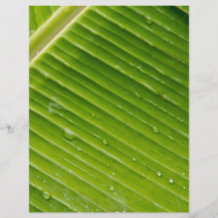 Papier Flora Dominica 1
