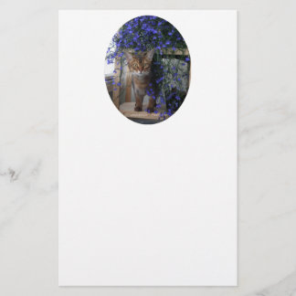 Papier Flower Cat Oval