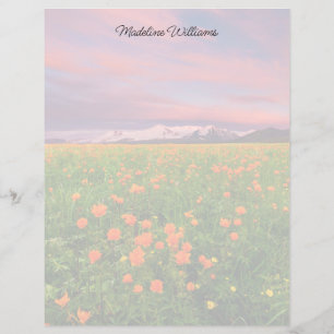Papier Flowers (homonymie) Fayot Field Snowcapped Mount