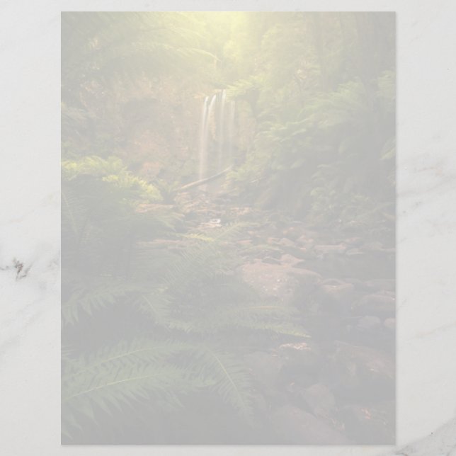 Papier Forêts | Cascade ensoleillée (Devant)