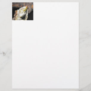 Papier Fracguane