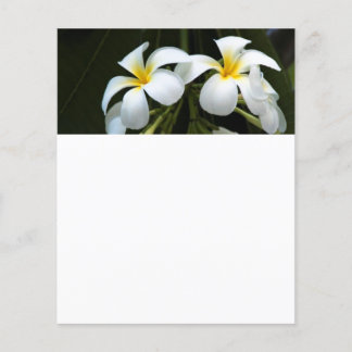 Papier Frangipani flowers