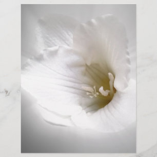 Papier frénésie blanche