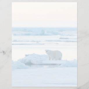 Papier Glace et neige   Ours polaire Iceberg Norvège