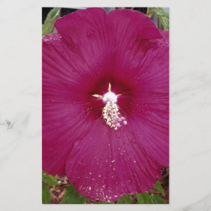 Papier grand Hibiscus rouge foncé