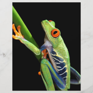Papier grenouille
