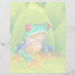 Papier Grenouille aux yeux rouges, Costa Rica